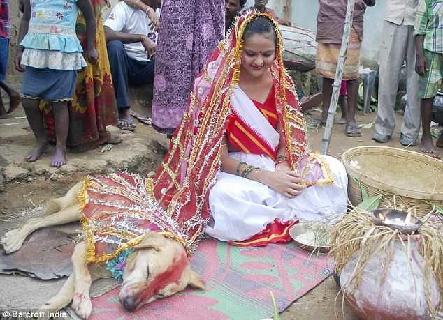 5371 An 18-years-old girl marries a stray dog in India 03