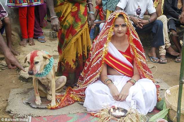 5371 An 18-years-old girl marries a stray dog in India 01