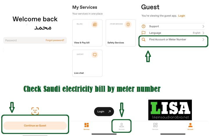 Check Saudi electricity bill by meter number