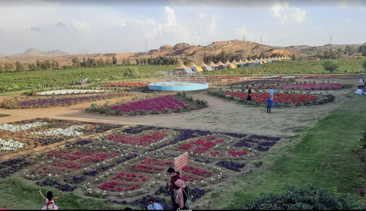 Rose Garden - places to visit in Abha