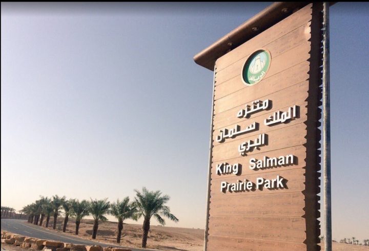 King Salman Park in Riyadh