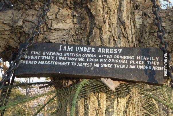 chained tree in pakistan