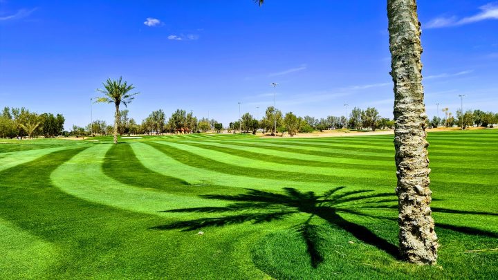 Riyadh Golf Club in Riyadh.