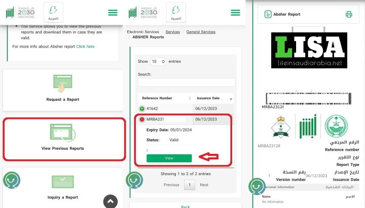 Download Traffic Violation Info Report